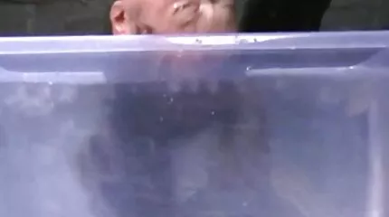 Meisje geneukt in de kont holland sexfilm in de studio.