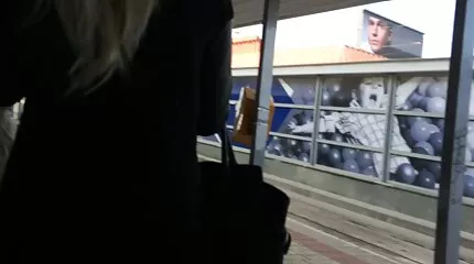 Crested Vingeren vagina. nederlands gesproken seksfilms