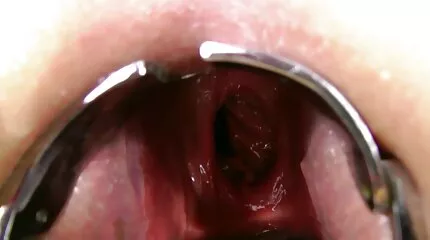 Lesbiennes sexfilm nederlands gesproken likken harige kut.