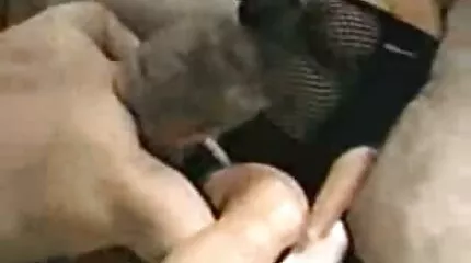 Soft sex filmpjes nederlands lul krijgen in anaal.