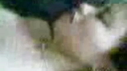 Ik neukte een meisje en besprenkelde haar nederlandse amateur sex film met sperma.