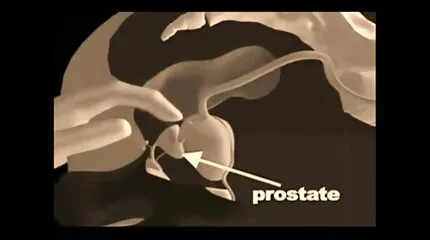 ess Exica dient het lichaam van twee ned sex films Fransen.